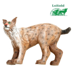 Leitold - Luchs laufend