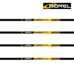 Aurel - AGIL.006 Carbon