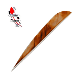 Gateway - 4" Parabolic RW ECC Camo Tre Brown