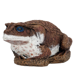 Wildcrete Targets - Kröte