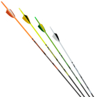 CrossX -  Iridium Pfeil mit Naturbefiederung 12...