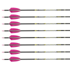 CrossX - Avatar Penta Pfeil mit Naturbefiederung 12...