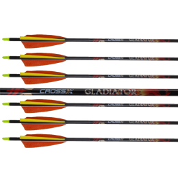 CrossX - Gladiator Pfeil mit Naturbefiederung 6 Stück 800