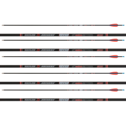 Skylon - Novice Pfeil mit AAE EP Vanes 6 Stück