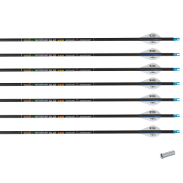 Skylon - Edge 6.2 Pfeil (ungekürzt, ohne Spitze) 6 Stück 400