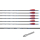 Skylon - Radius Pfeil mit AAE EP Vanes 6 Stück 900