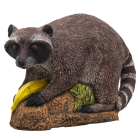 Wildcrete Targets - Waschbär