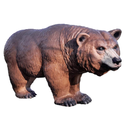 Centerpoint - laufender Grizzly