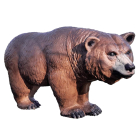 Centerpoint - laufender Grizzly