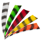 Buck Trail - 4" Shield Barred Federn RW grün...
