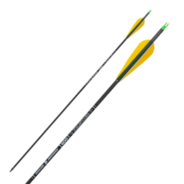 Skylon - Frontier 6.2 mit Naturbefiederung Komplettpfeil 6 Stück 800