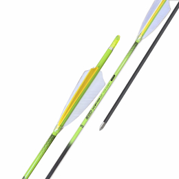 Shocq - Komplettpfeil Inceptor mit Naturbefiederung 6Stück 1000 grün