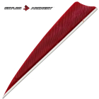 Skylon - 4" Shield RW rot