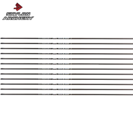 Skylon - Schaft Frontier 6.2