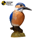 Centerpoint - Eisvogel