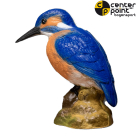 Centerpoint - Eisvogel