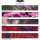 Draven Archery - Wraps Modern L-S L Liquids Red