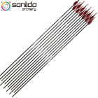 Sanlida - Miracle 10 Recurve Target Carbonpfeile 3.2 (12...