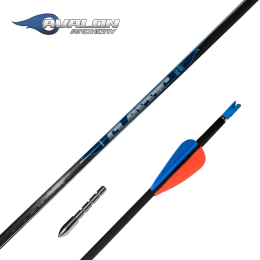 Avalon - Classic Komplettpfeil mit Plastikvanes 6 Stück