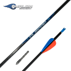 Avalon - Classic Komplettpfeil mit Plastikvanes 6 Stück