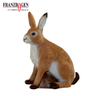 Franzbogen - Feldhase groß