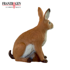 Franzbogen - Feldhase groß