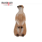 Franzbogen - Erdmännchen