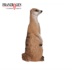 Franzbogen - Erdmännchen