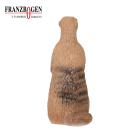 Franzbogen - Erdmännchen