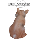 LONGLIFE - Baby Bär sitzend