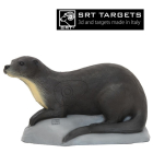 SRT - Otter