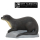 SRT - Otter
