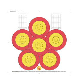 Danage Targets - Practice 40cm 6-Spot