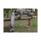 Natur Foam - kletternder Luchs